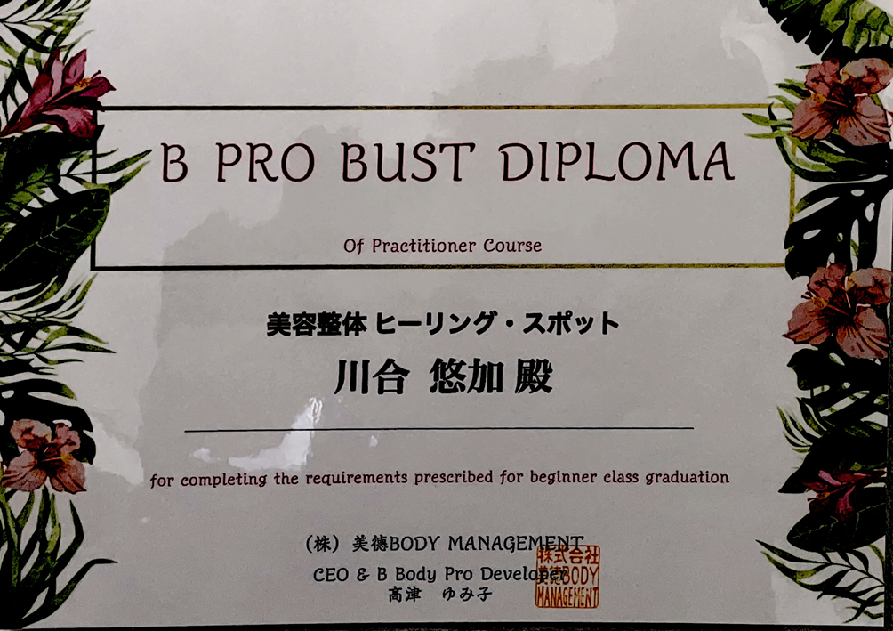 B　PRO BUST DIPLOMA